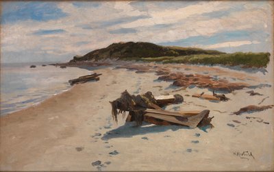 Cape Cod, Spiaggia da Herman Hartwich