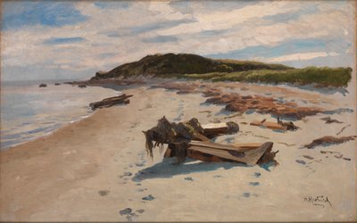 Cape Cod, spiaggia, 1894 da Herman Hartwich