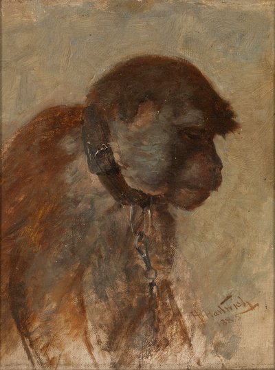 Meditazione da Herman Hartwich