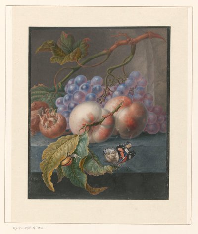 Frutti con una farfalla e una lumaca da Herman Henstenburgh