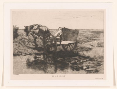 Carro di cavalli sulla brughiera (Sulla brughiera) da Herman Johannes van der Weele