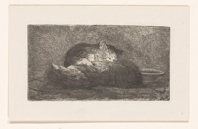 Due gatti da Herman Johannes van der Weele