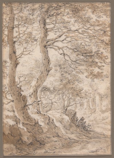 Interno di una foresta, con figura seduta da Herman Saftleven