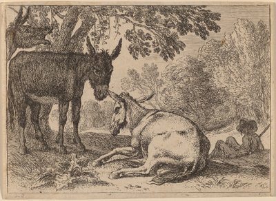 Asini da Herman van Swanevelt