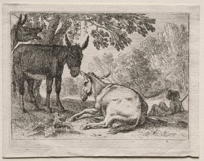 Asini da Herman van Swanevelt