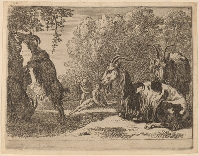 Capre da Herman van Swanevelt