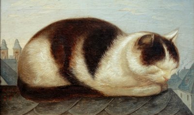 Gatto da Hermann Anschütz