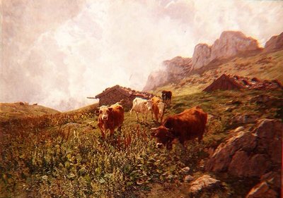Immagine Sconosciuta da Hermann Baisch