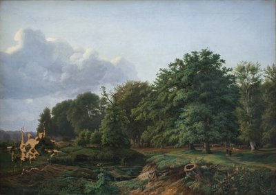 Una foresta vicino a Hellebæk nel nord della Zelanda. Pomeriggio da Hermann Carmiencke