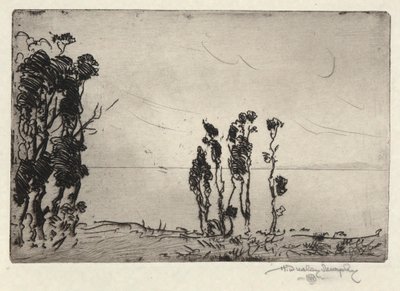 Paesaggio Costiero da Hermann Dudley Murphy