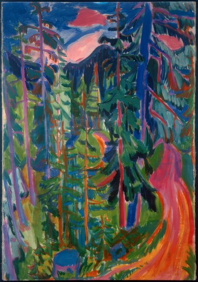 Paesaggio forestale vicino a Davos da Hermann Scherer