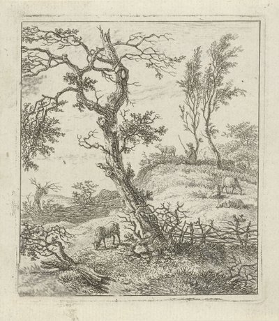 Paesaggio con pastore su una collina da Hermanus Fock