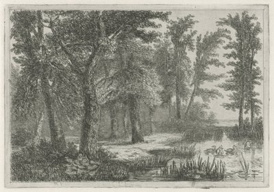 Paesaggio boschivo con uno stagno con anatre da Hermanus Jan Hendrik van Rijkelijkhuysen