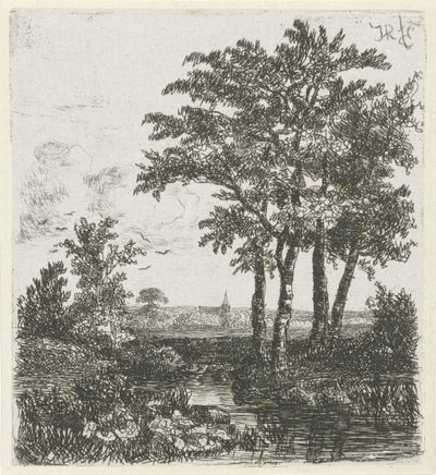Quattro alberi lungo un fossato da Hermanus Jan Hendrik van Rijkelijkhuysen