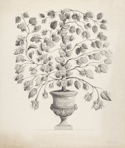 Albero genealogico della Casa d
