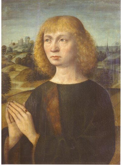 Ritratto di un giovane uomo da Hermen Rode