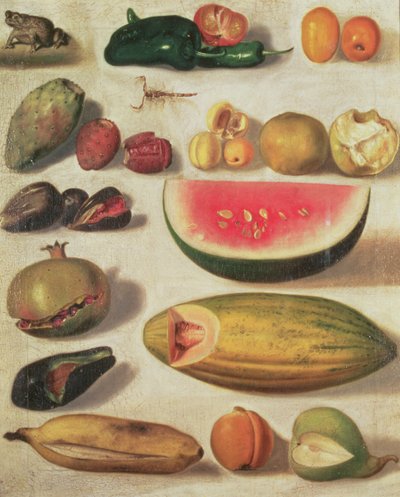 Natura morta con frutta e rospo da Hermenegildo Bustos