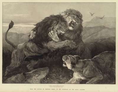 Feroce come fuochi contrastanti il combattimento brucia da Heywood Hardy