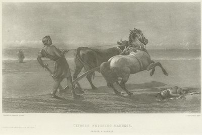 Ulisse che finge pazzia (incisione) da Heywood Hardy