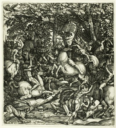 La battaglia da Hieronymous Hopfer