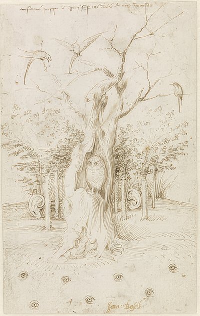 Il campo ha occhi, il bosco ha orecchie da Hieronymus Bosch