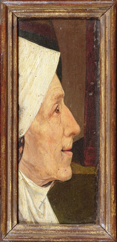 Testa di una vecchia donna da Hieronymus Bosch