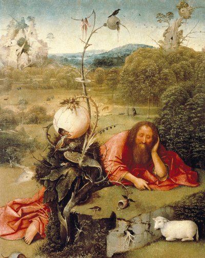 San Giovanni Battista addormentato nella natura da Hieronymus Bosch