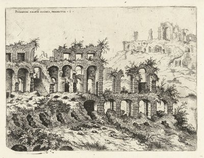 Veduta del Colosseo e del Palatino da Hieronymus Cock