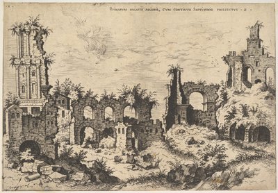 Veduta delle rovine sul Colle Palatino con facciata trabeata a sinistra e arcate al centro, 1550 da Hieronymus Cock