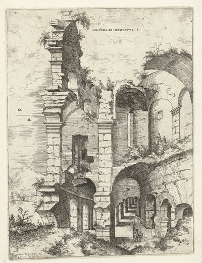 Quinta veduta del Colosseo a Roma (Colossæi ro prospectvs 5, titolo sull