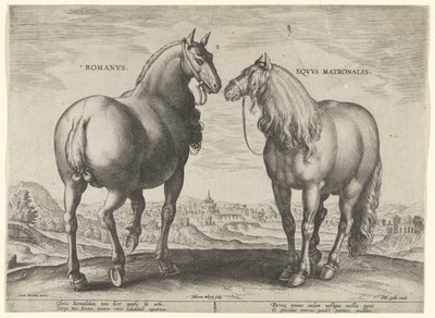 Cavallo da Roma e una giumenta da Hieronymus Wierix