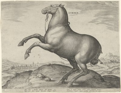 Cavallo della Scizia da Hieronymus Wierix