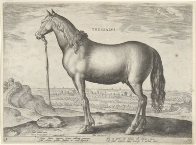 Cavallo della Tessaglia da Hieronymus Wierix