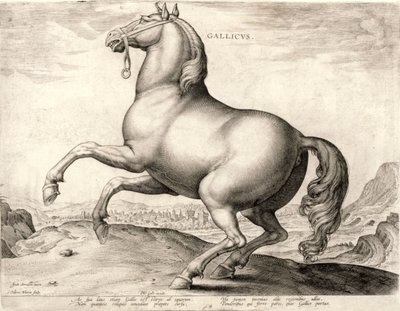 Gallicus dalla serie Cavalli dalla scuderia di Don Giovanni d