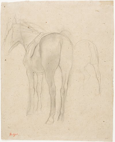 Studi su un cavallo da Hilaire Germain Edgar Degas