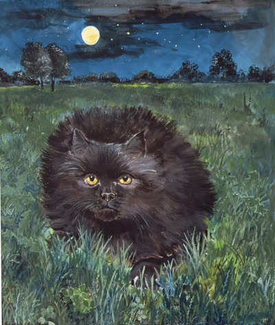 Il gatto e la luna da Hilary Jones