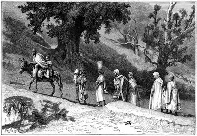 Gruppo familiare Kabyle in viaggio, Algeria, c1890 da Hildibrand