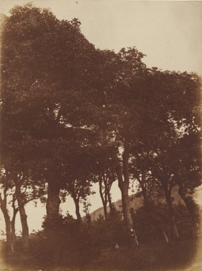 [Campo a Bonaly] da Hill and Adamson