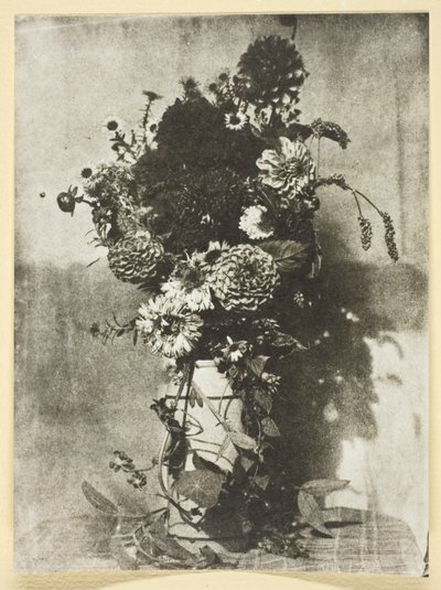 Bouquet di fiori da Hippolyte Bayard
