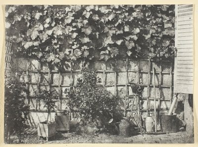 La Treille da Hippolyte Bayard