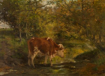  da Hippolyte Boulenger