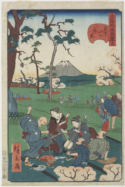 N.5, Visione dei ciliegi in fiore sulla collina di Asuka da Hirokage Utagawa