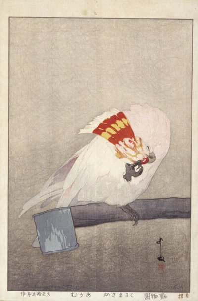 Cacatua sul mangiatoia da Hiroshi Yoshida