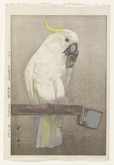 Cacatua crestagialla da Hiroshi Yoshida