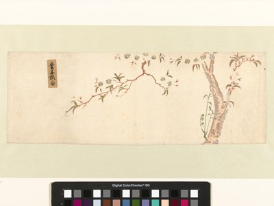Ciliegio in fiore da Hiroshige (I) , Utagawa (attributed to)