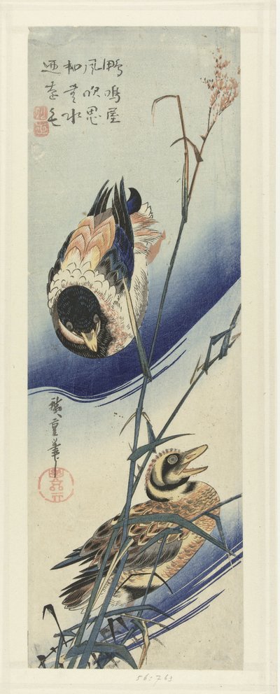 Anatre tra le canne da Hiroshige (I) , Utagawa