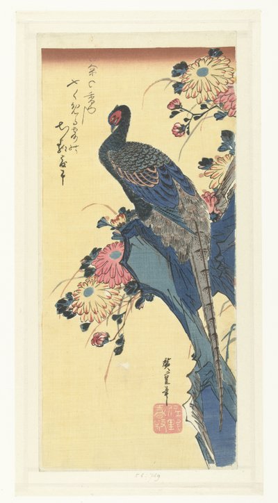 Fagiano e crisantemi da Hiroshige (I) , Utagawa