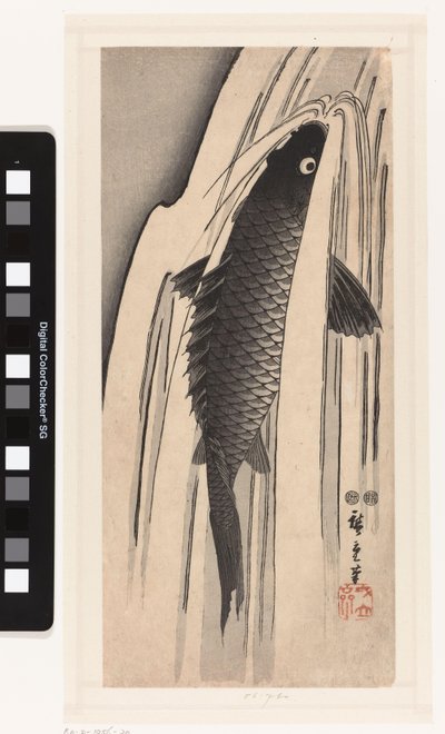 Carpa che nuota contro una cascata da Hiroshige (I) , Utagawa