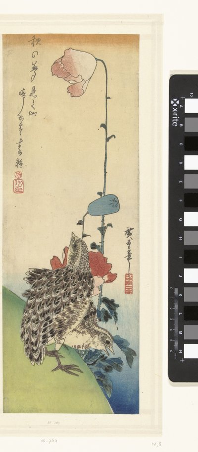 Quaglie e papaveri da Hiroshige (I) , Utagawa