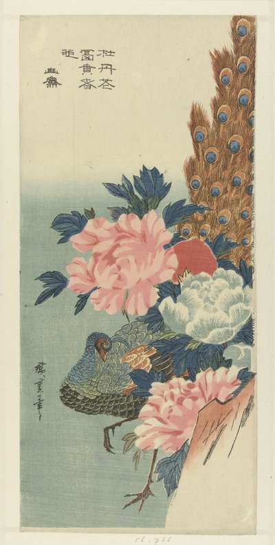 Pavone e peonie da Hiroshige (I) , Utagawa